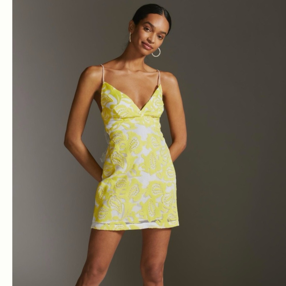 Anthropologie Maeve Strappy Lace Mini Dress